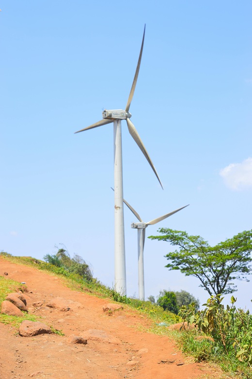 Large solar farm representing strategic renewable energy development across ECOWAS and CEMAC